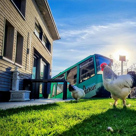 Exklusives Holzhaus Mit Bergbahn - Baden-Baden Im Schwarzwald Villa Ngoại thất bức ảnh