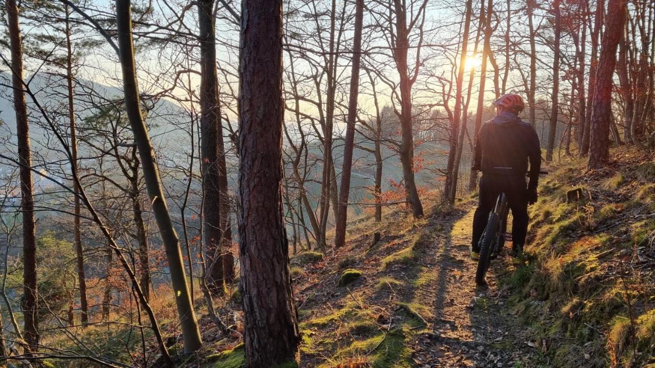 Exklusives Holzhaus Mit Bergbahn - Baden-Baden Im Schwarzwald Villa Ngoại thất bức ảnh