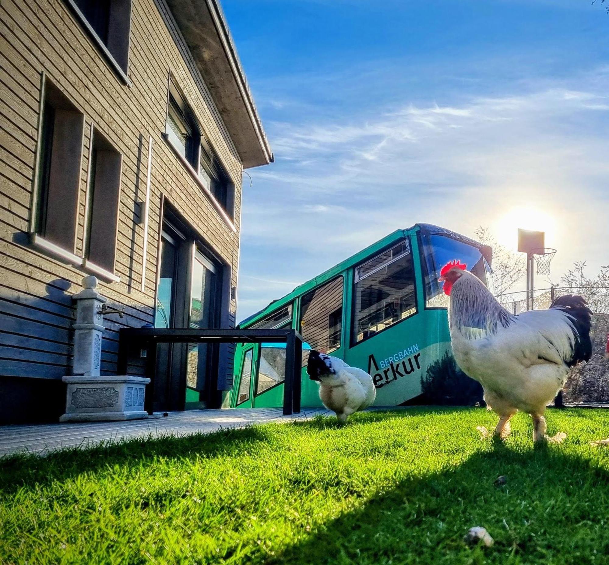 Exklusives Holzhaus Mit Bergbahn - Baden-Baden Im Schwarzwald Villa Ngoại thất bức ảnh